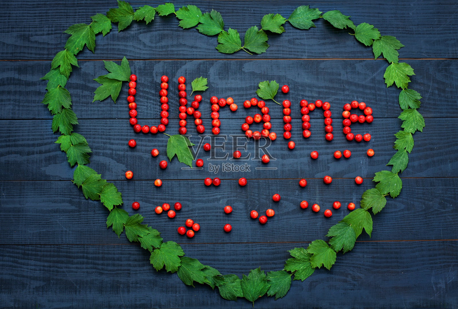 题字“乌”在叶心照片摄影图片