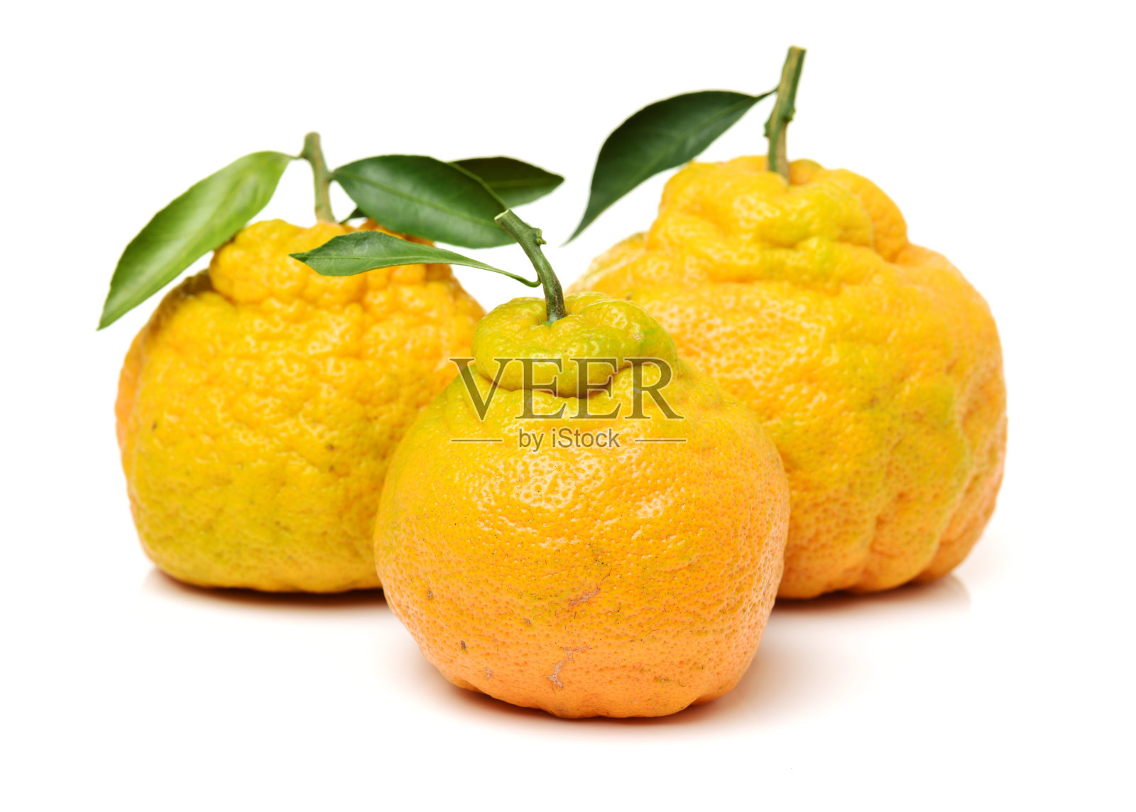 丑陋的橘子照片摄影图片