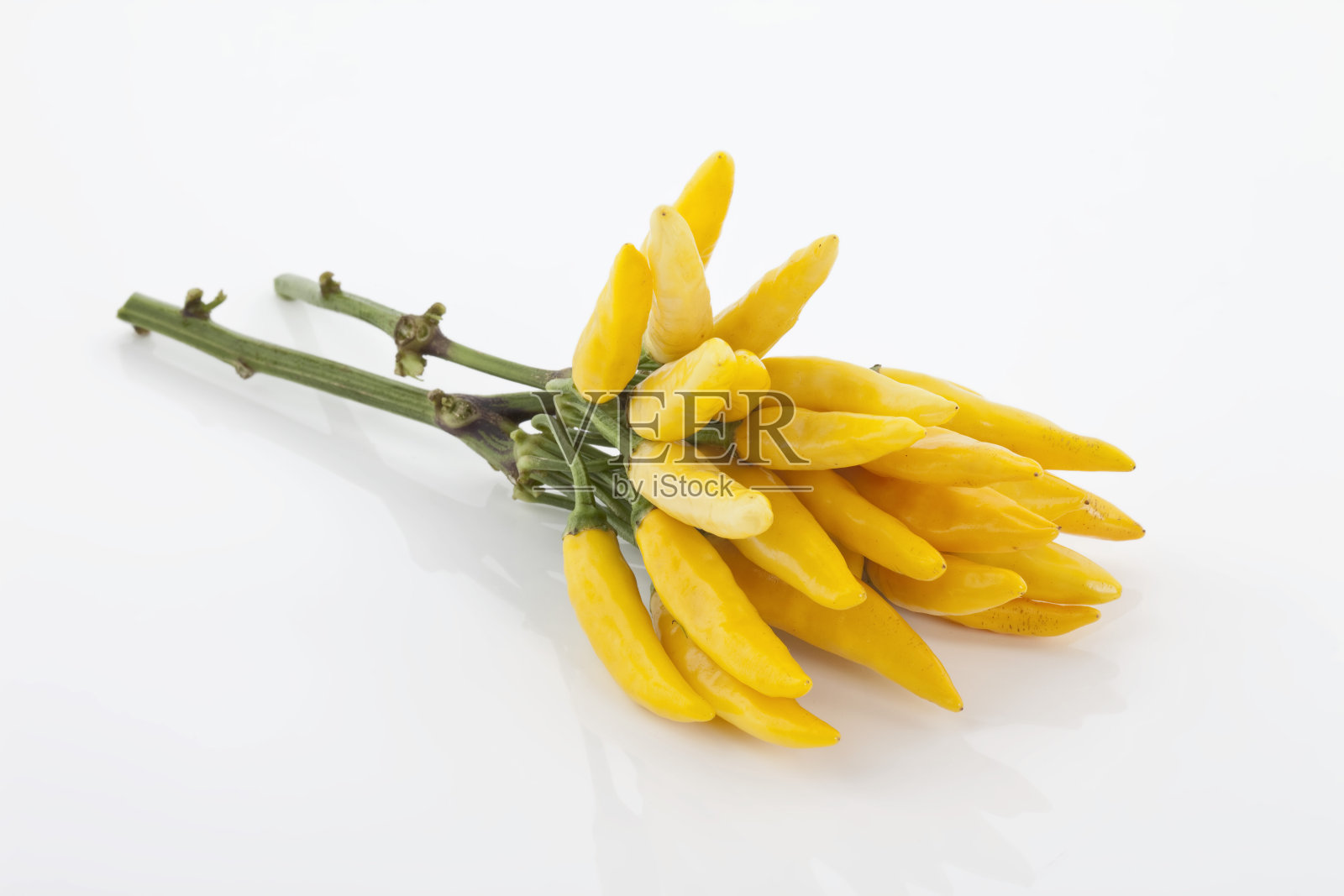鲜黄色辣椒的茎上白色的背景照片摄影图片