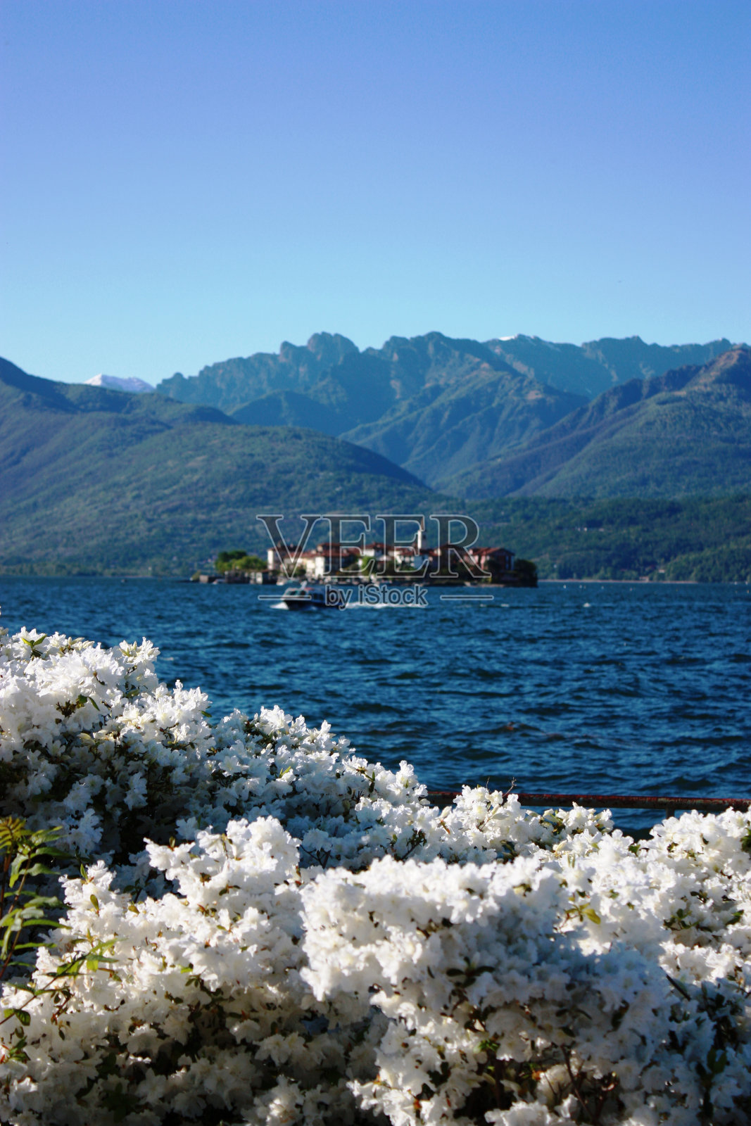 阿尔普斯河畔Stresa river blooming,周围环绕着马焦雷湖渔民岛照片摄影图片
