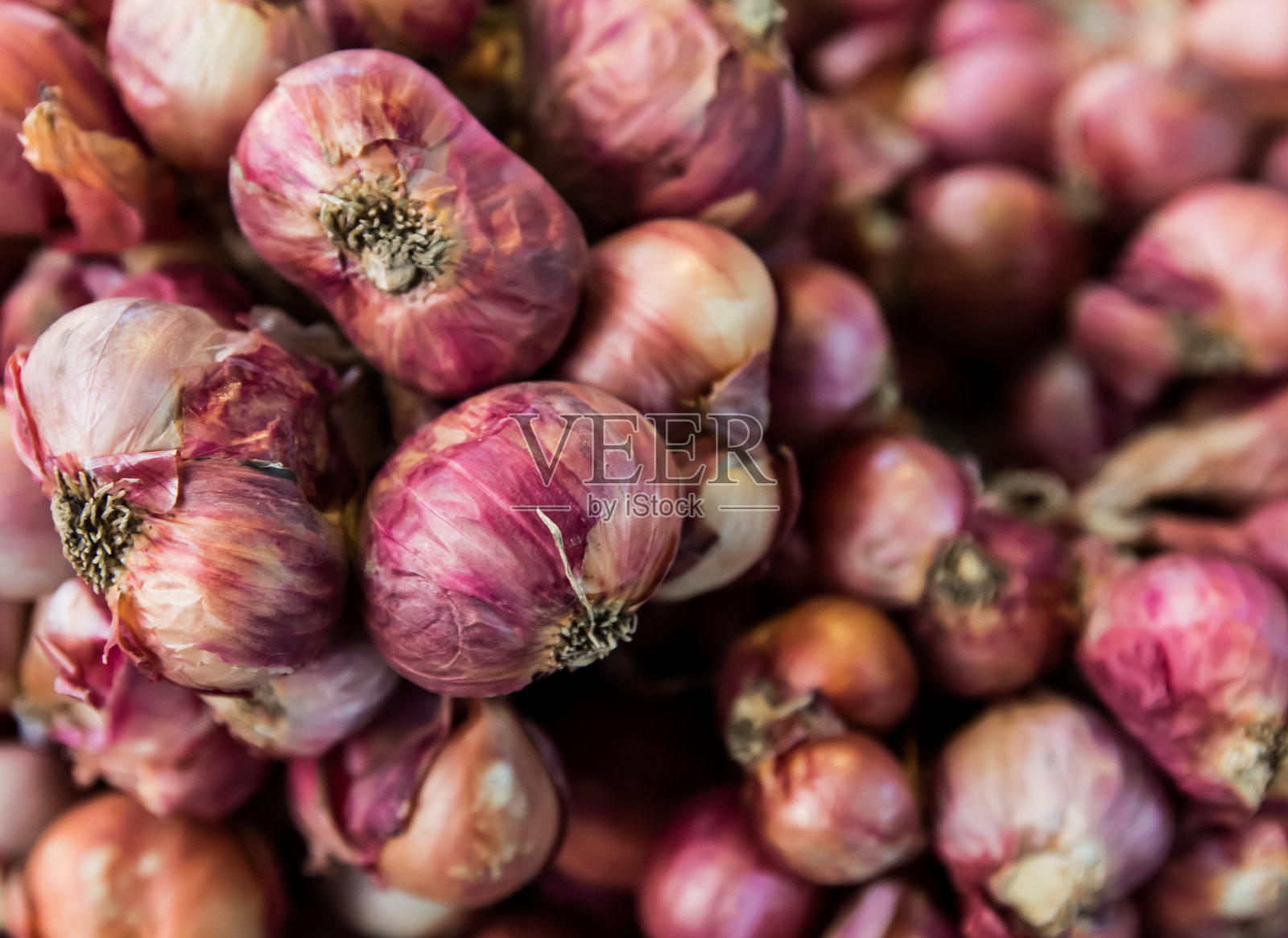 大红洋葱背景照片摄影图片