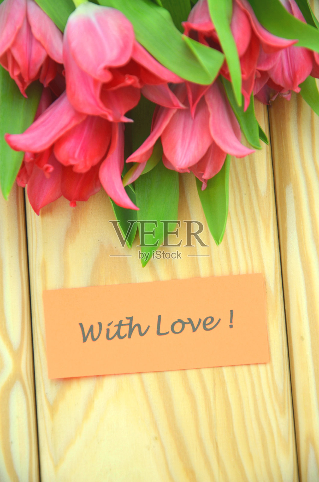 带着爱的祝愿和一束艳丽的红色郁金香照片摄影图片