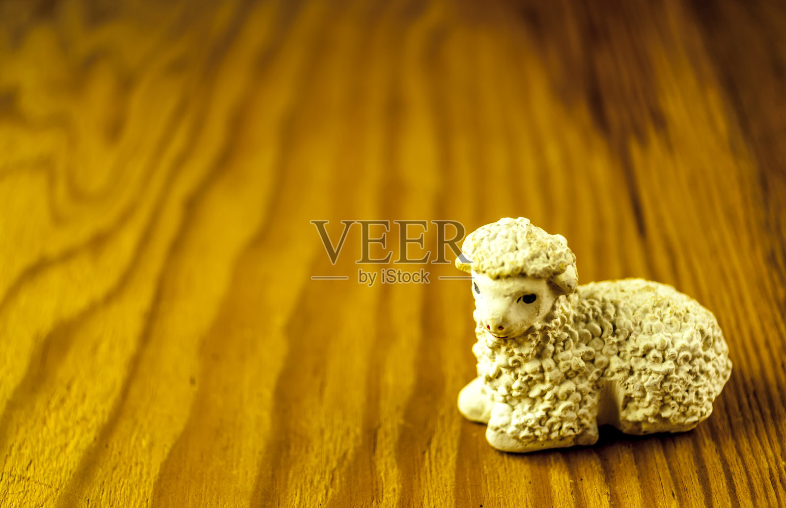 复活节的羔羊照片摄影图片