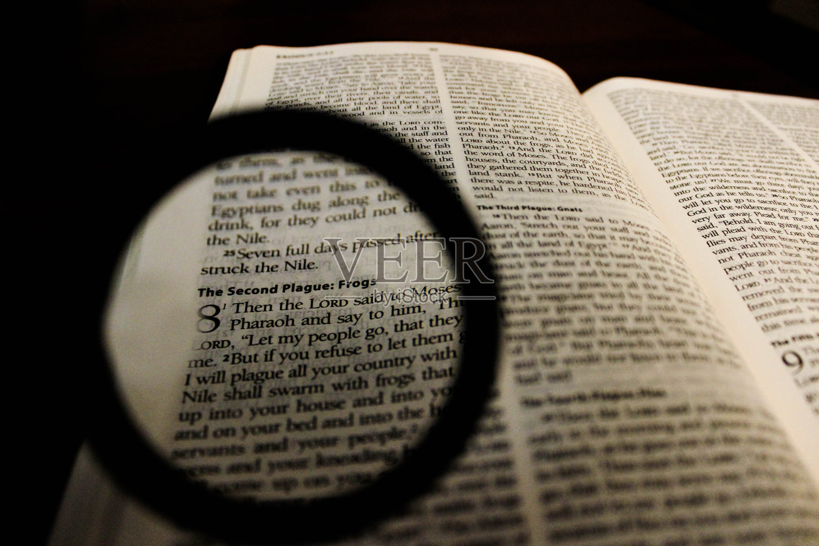 第二次瘟疫的故事(出埃及记)照片摄影图片