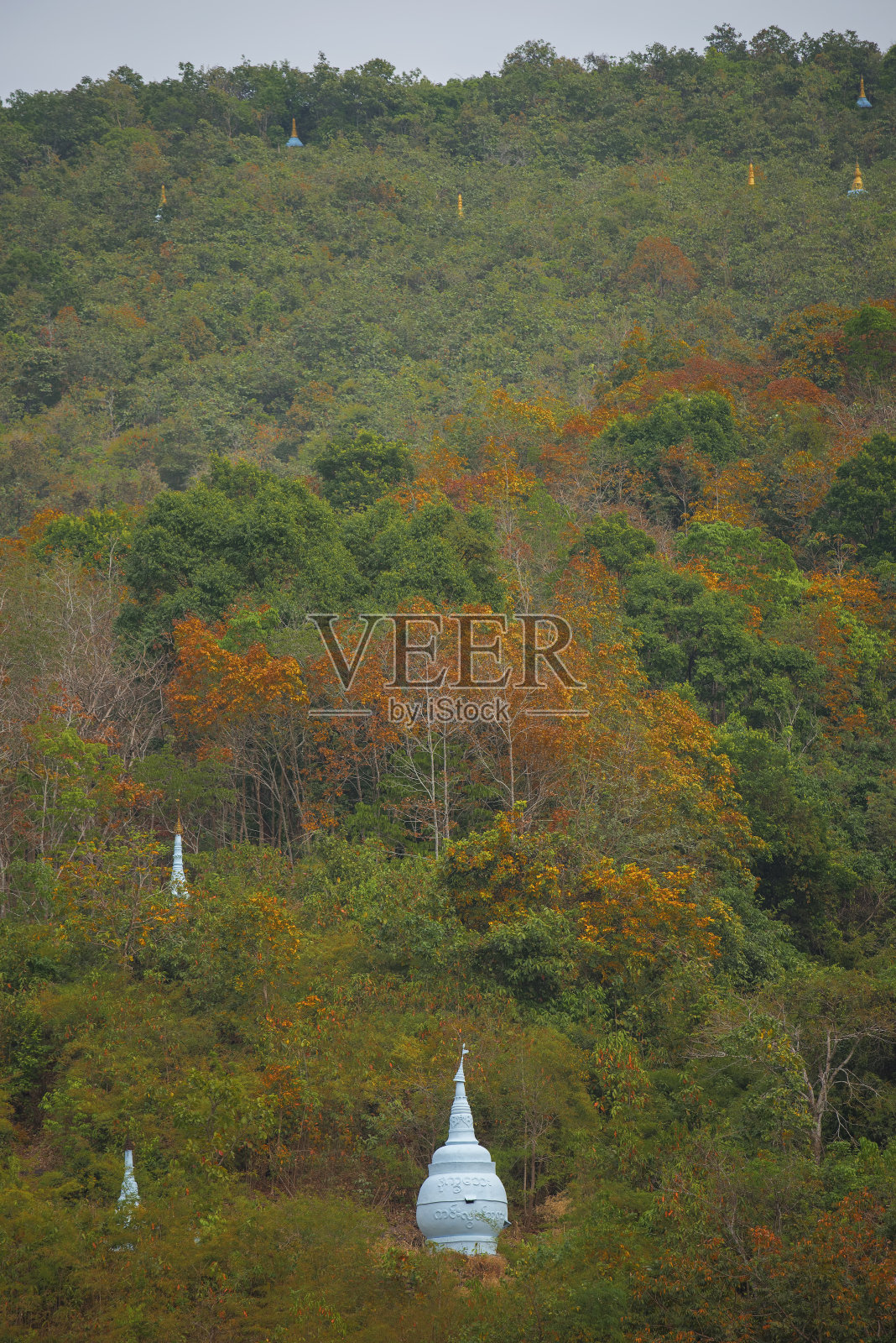 温盛都亚森林中的宝塔照片摄影图片