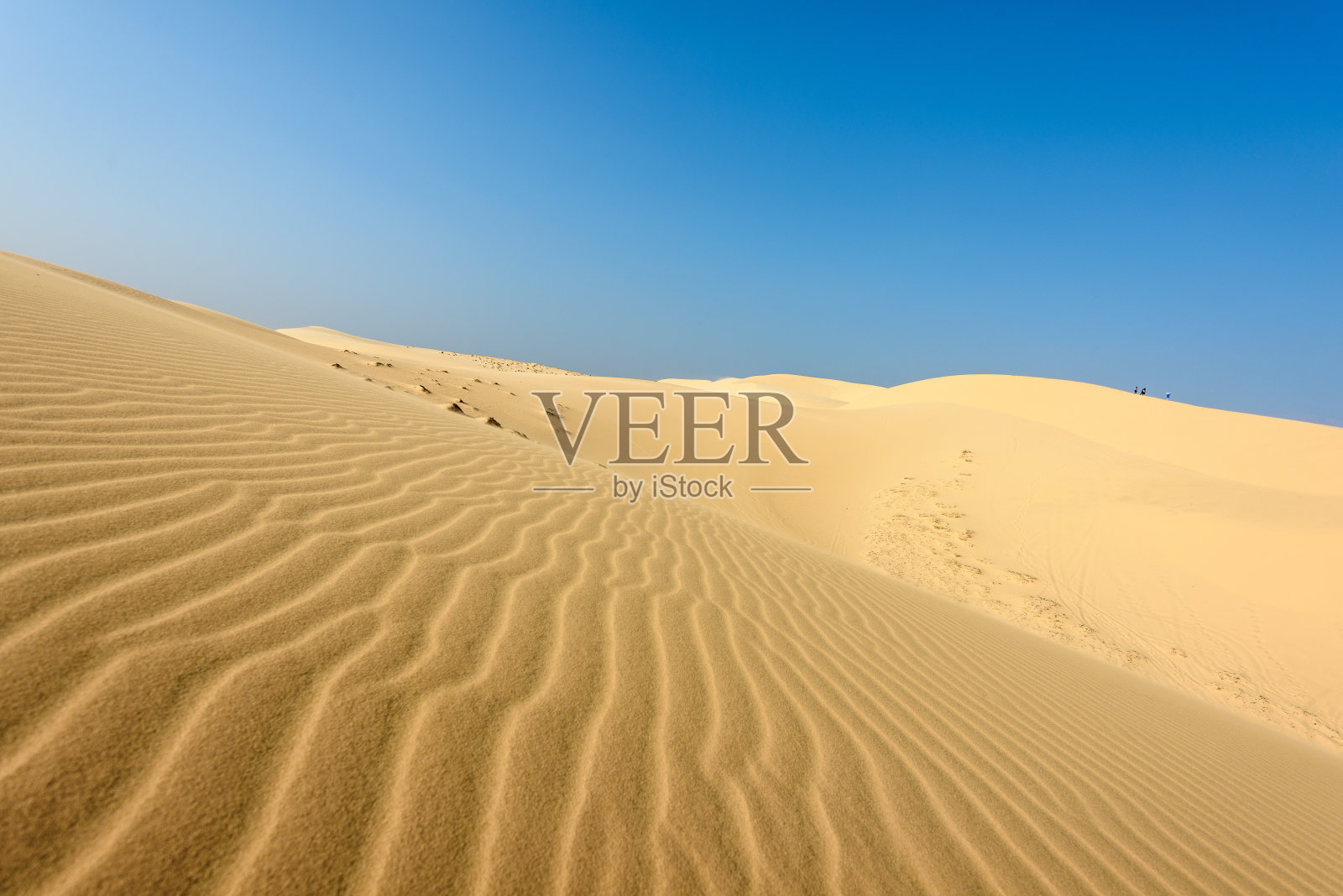 越南南部的白色沙丘。照片摄影图片