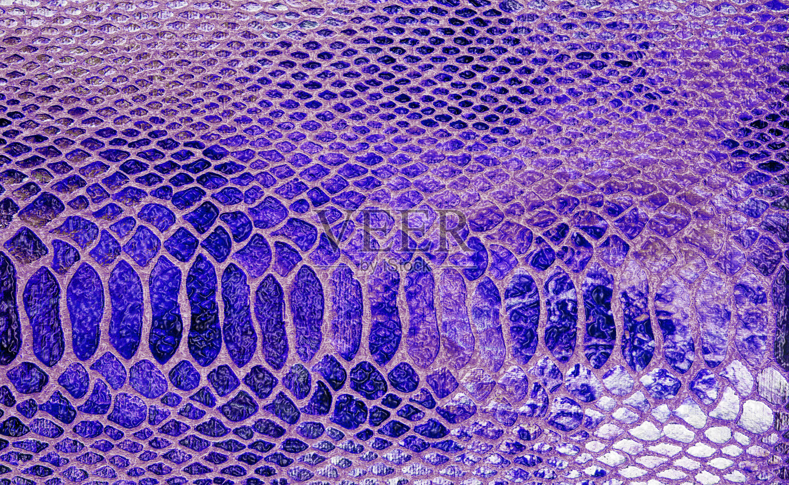 特写蛇皮皮革,可以用作背景照片摄影图片