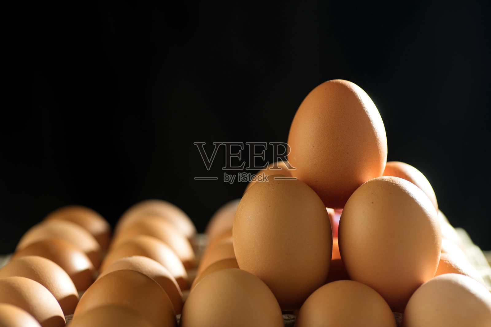 鸡蛋排在托盘上照片摄影图片