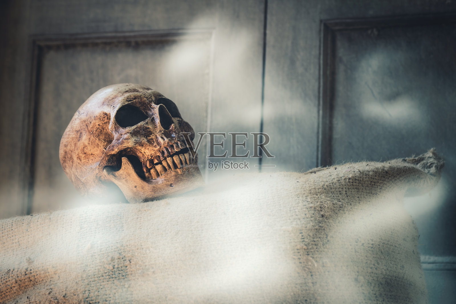 老头骨照片摄影图片