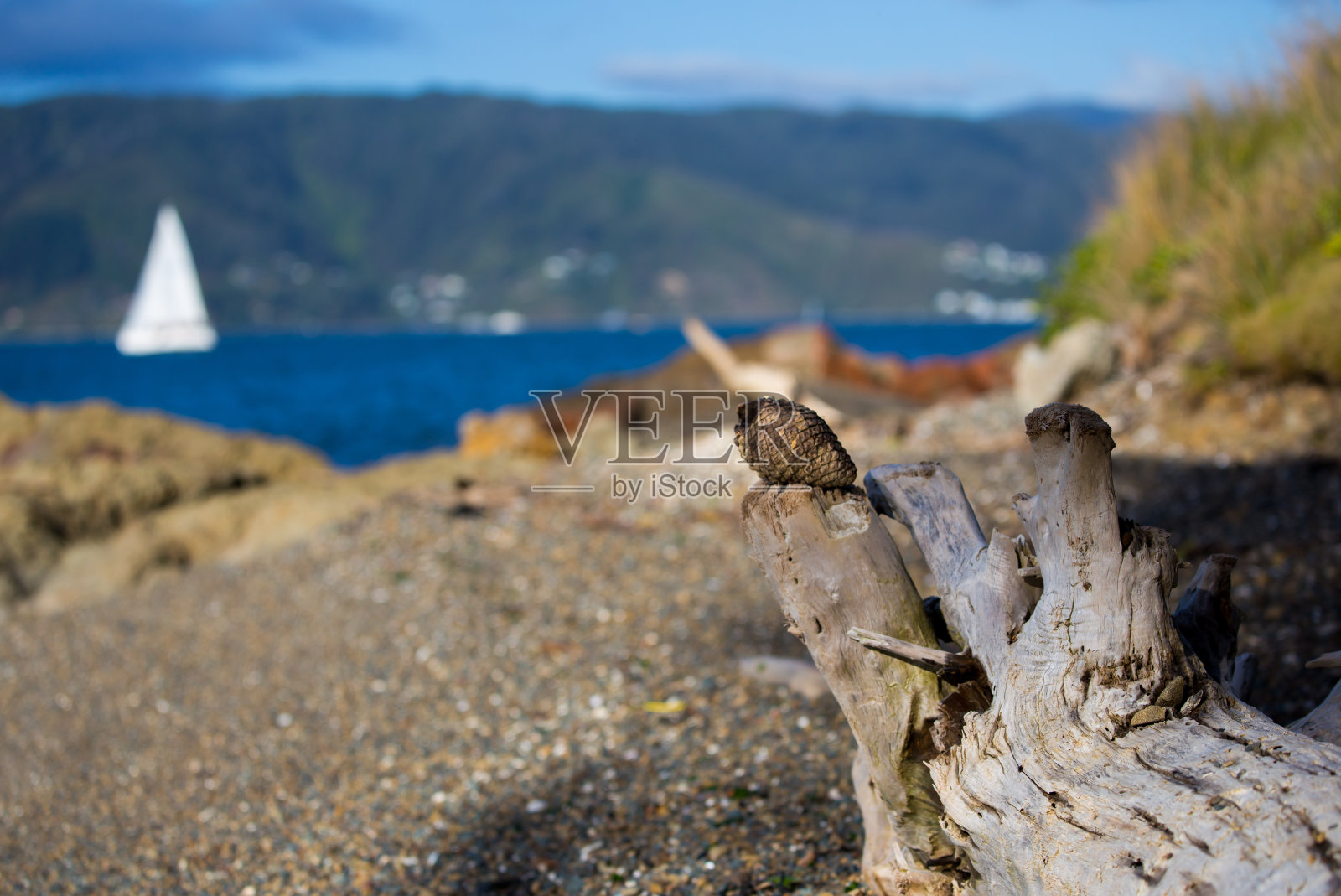 岛附近海滩上的木头和岩石照片摄影图片