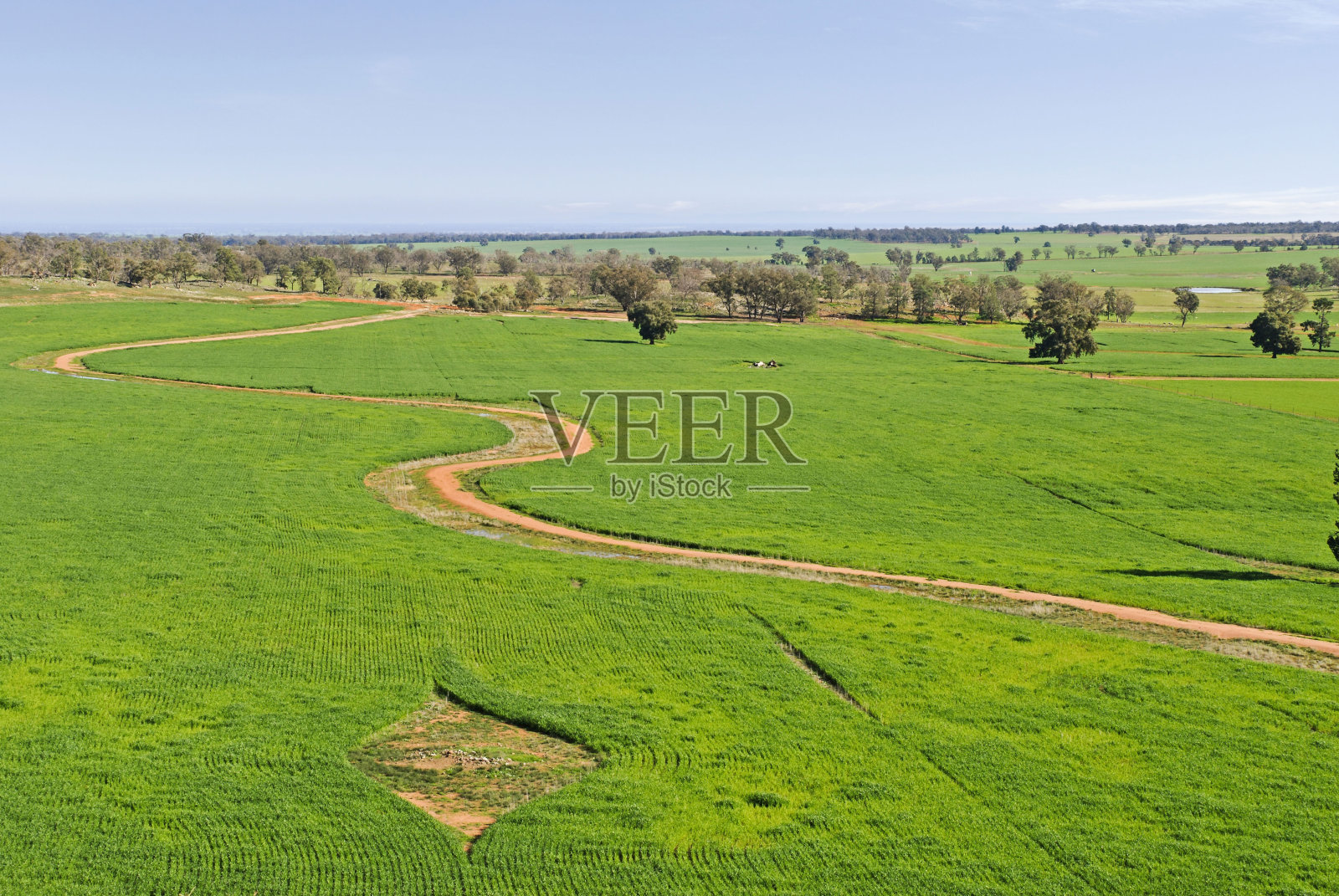 农业照片摄影图片