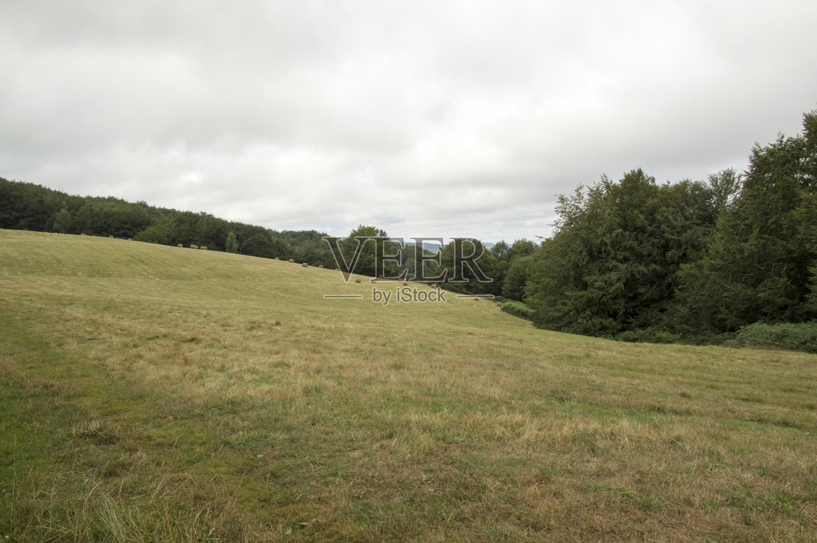 卡米诺圣地亚哥从隆塞斯瓦莱斯到祖比里照片摄影图片