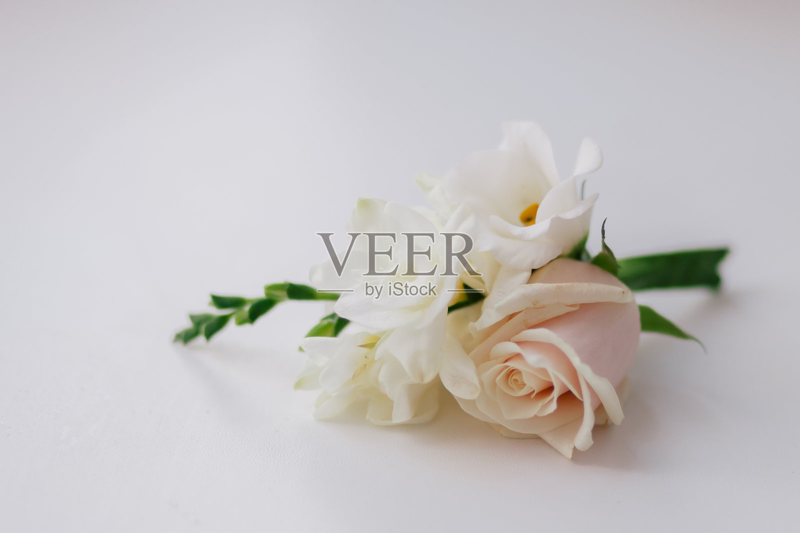 新郎的带玫瑰花的胸花照片摄影图片