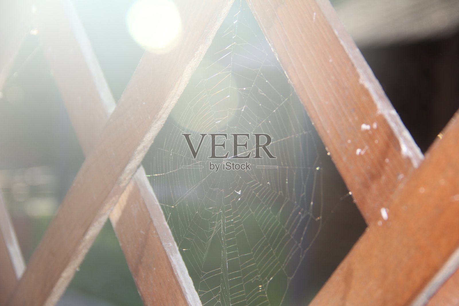 蛛网特写在散射光,选择性聚焦,复制空间照片摄影图片