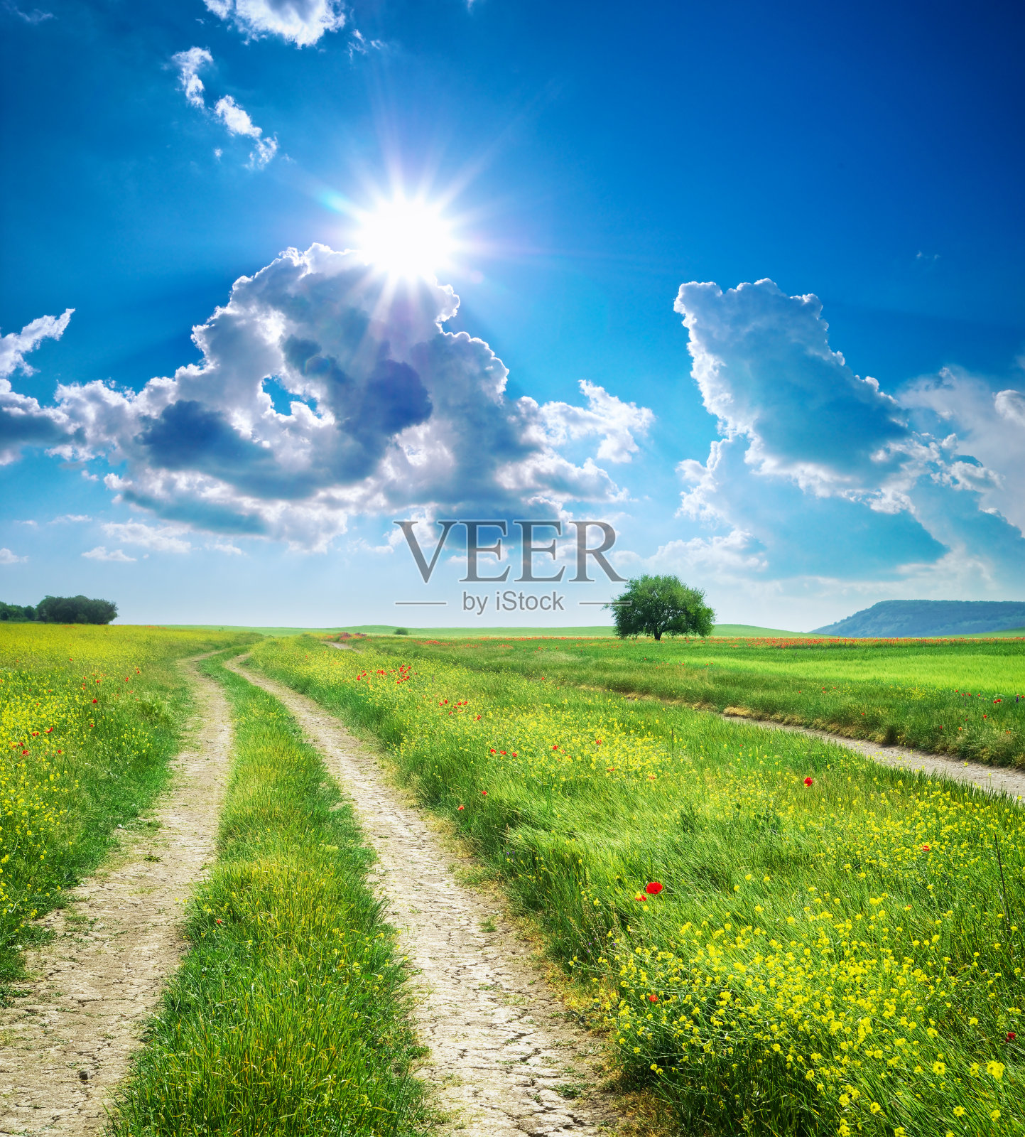 道路小巷和深蓝色的天空。照片摄影图片