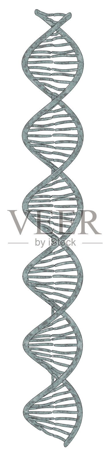 脱氧核糖核酸模型照片摄影图片