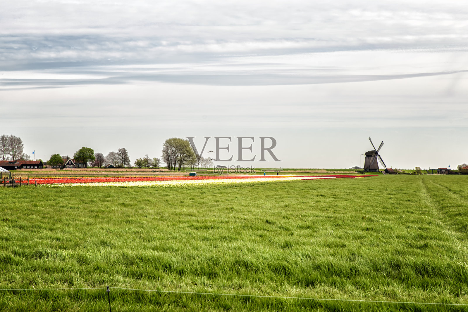 典型的荷兰景观照片摄影图片
