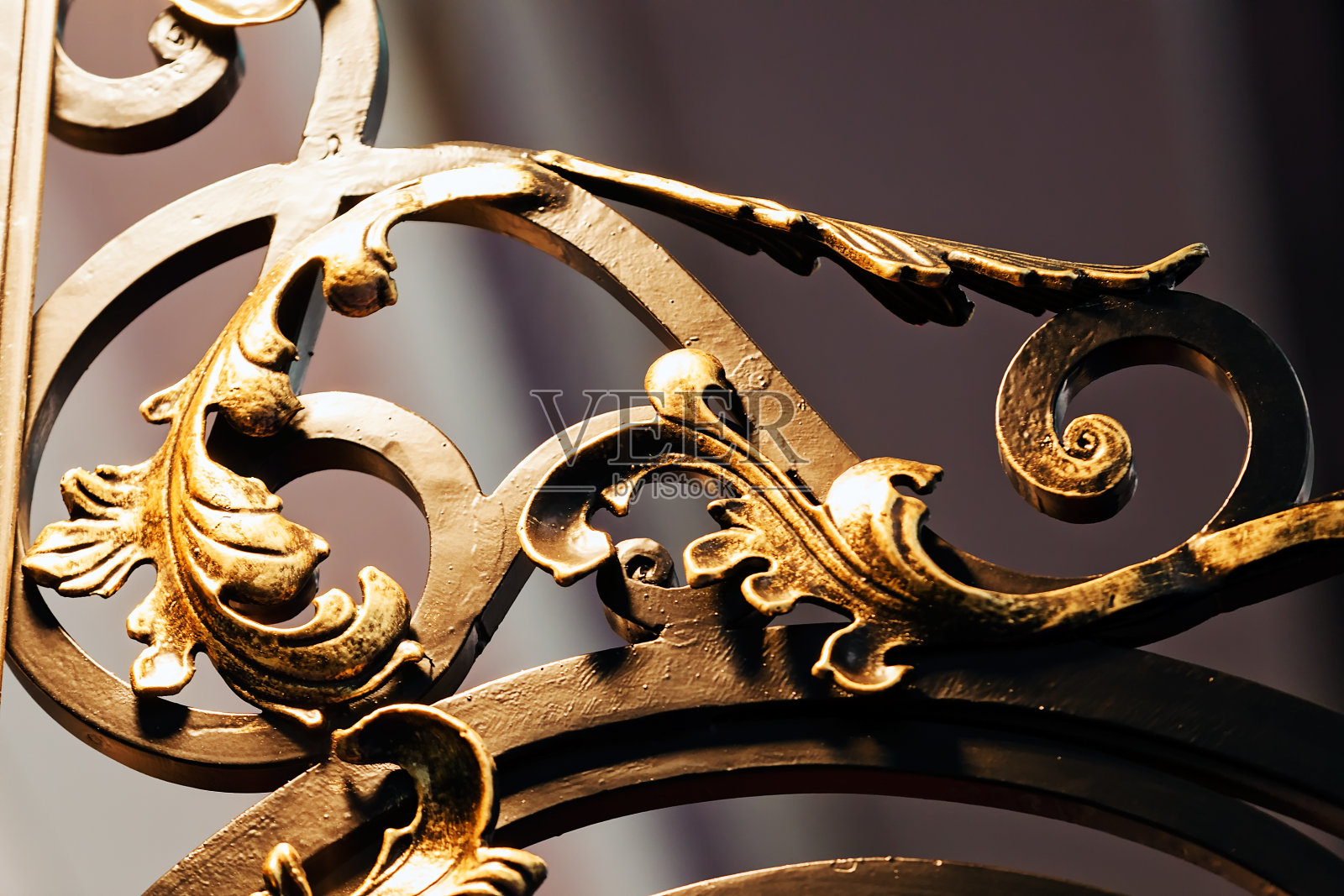 铁艺栅栏照片摄影图片