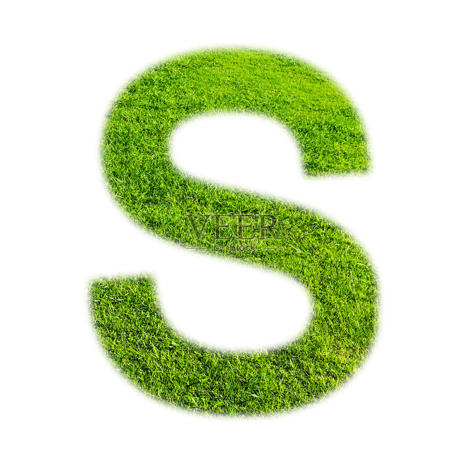 'S'的大写字母制成的草纹理,孤立在白色照片摄影图片