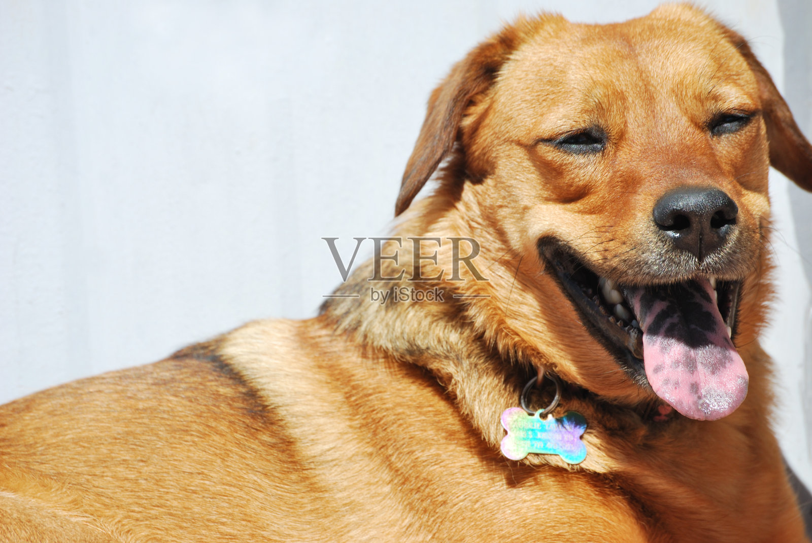 这里很热照片摄影图片