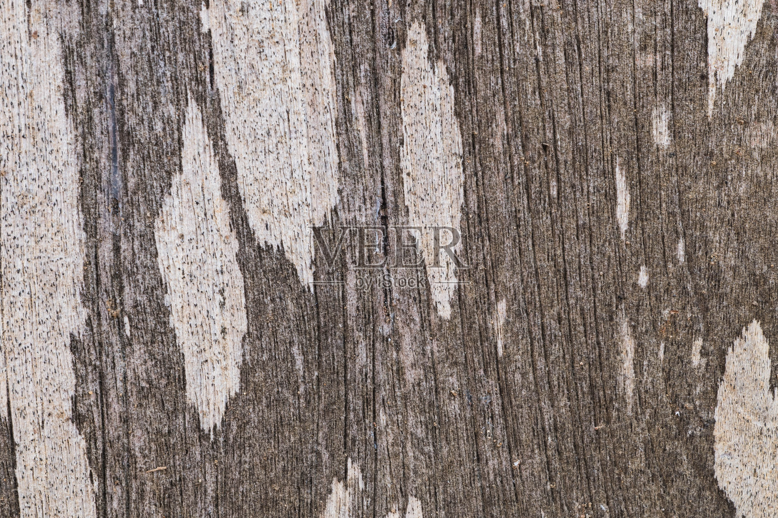 粗糙的、古老的、粗糙的木头照片摄影图片