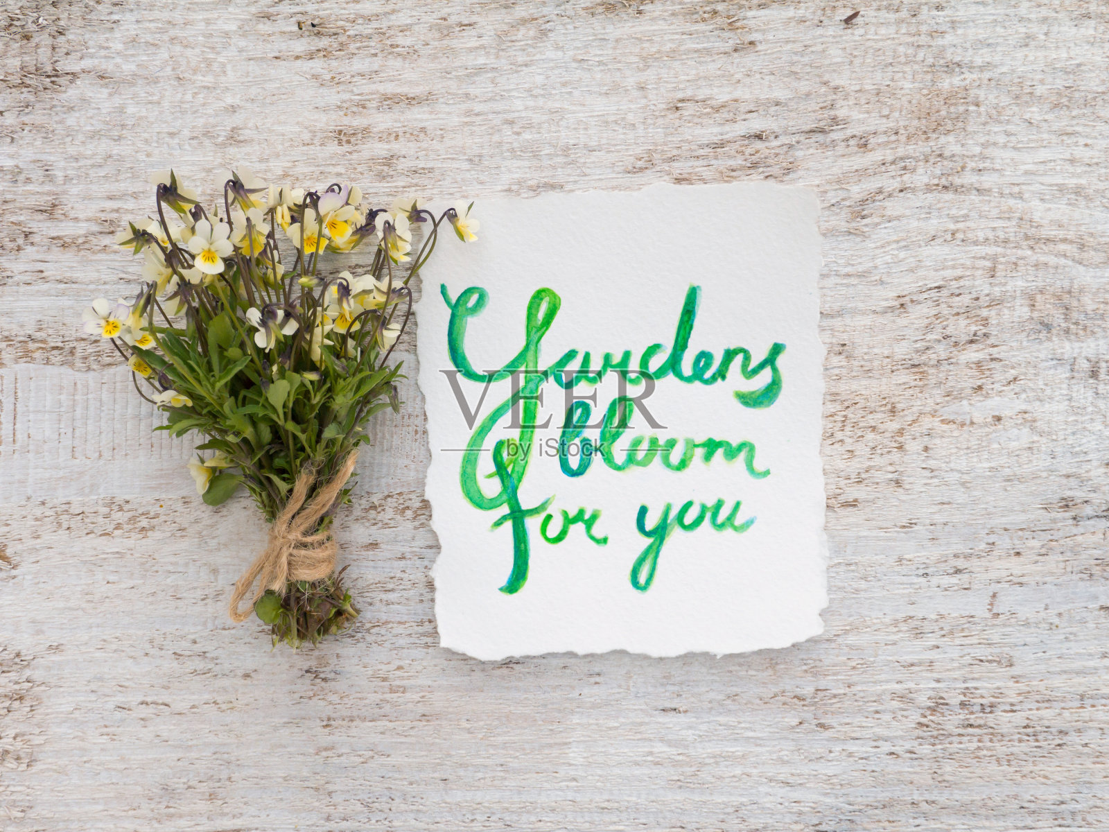 野堇菜花束和水彩刻字插画图片素材