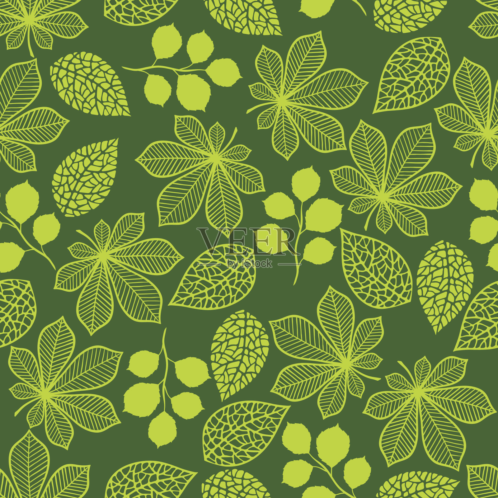 图案与程式化的绿叶。插画图片素材