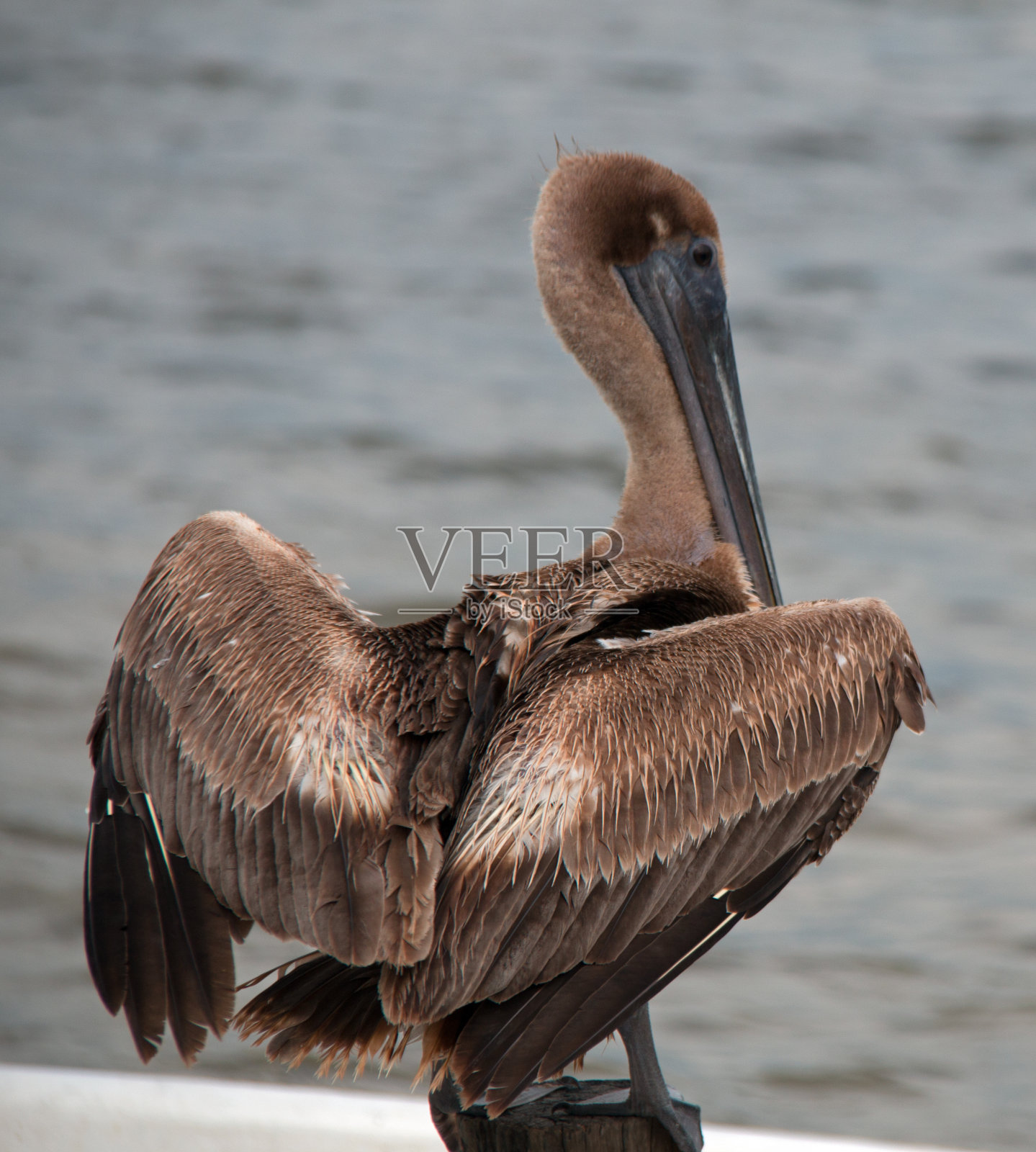 墨西哥坎昆照片摄影图片