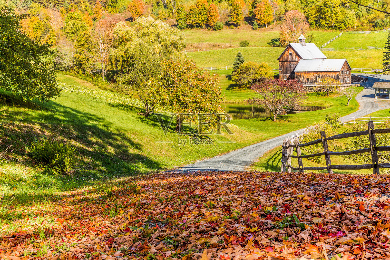 古老的谷仓在美丽的佛蒙特秋天的风景照片摄影图片