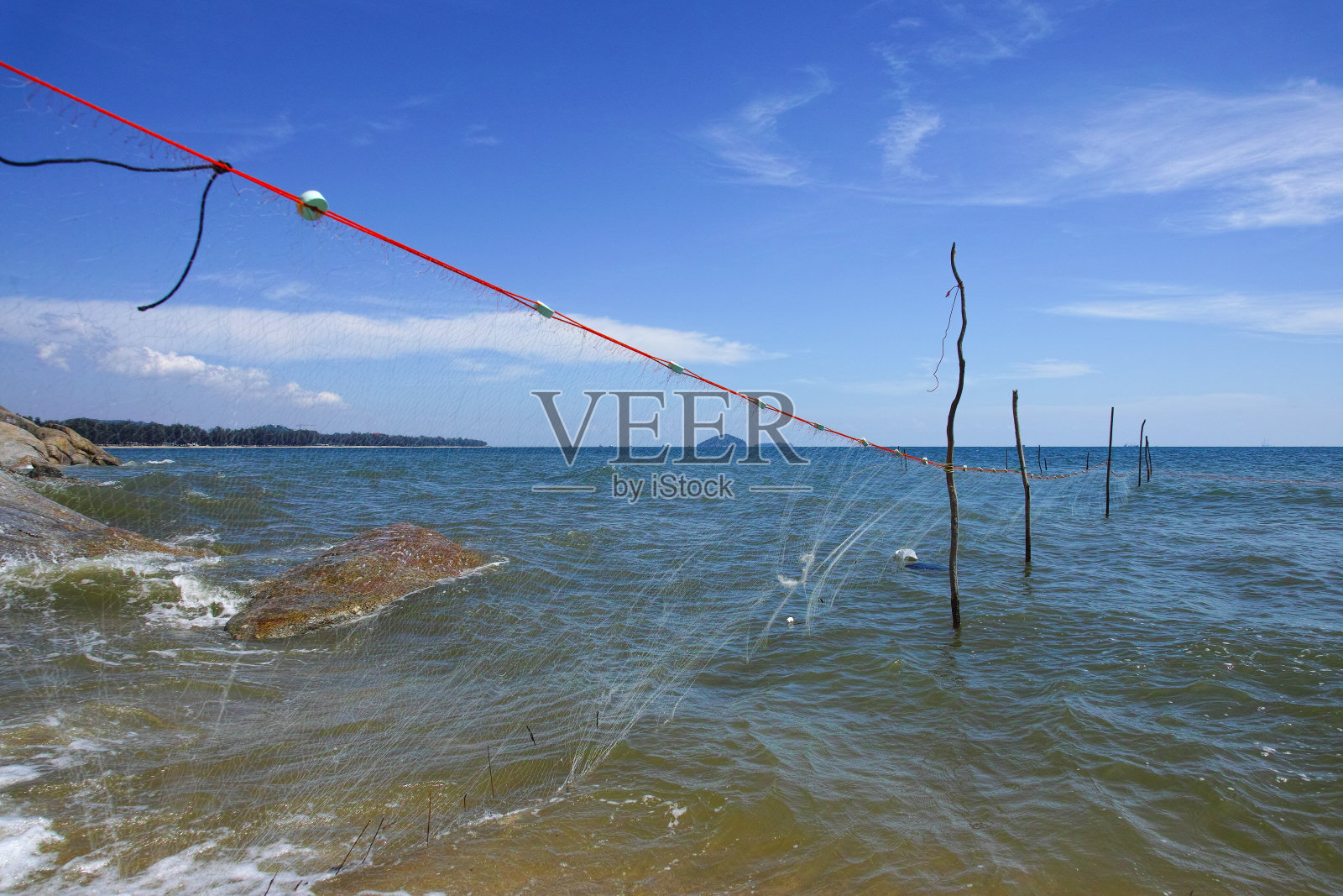 捕获的鱼照片摄影图片