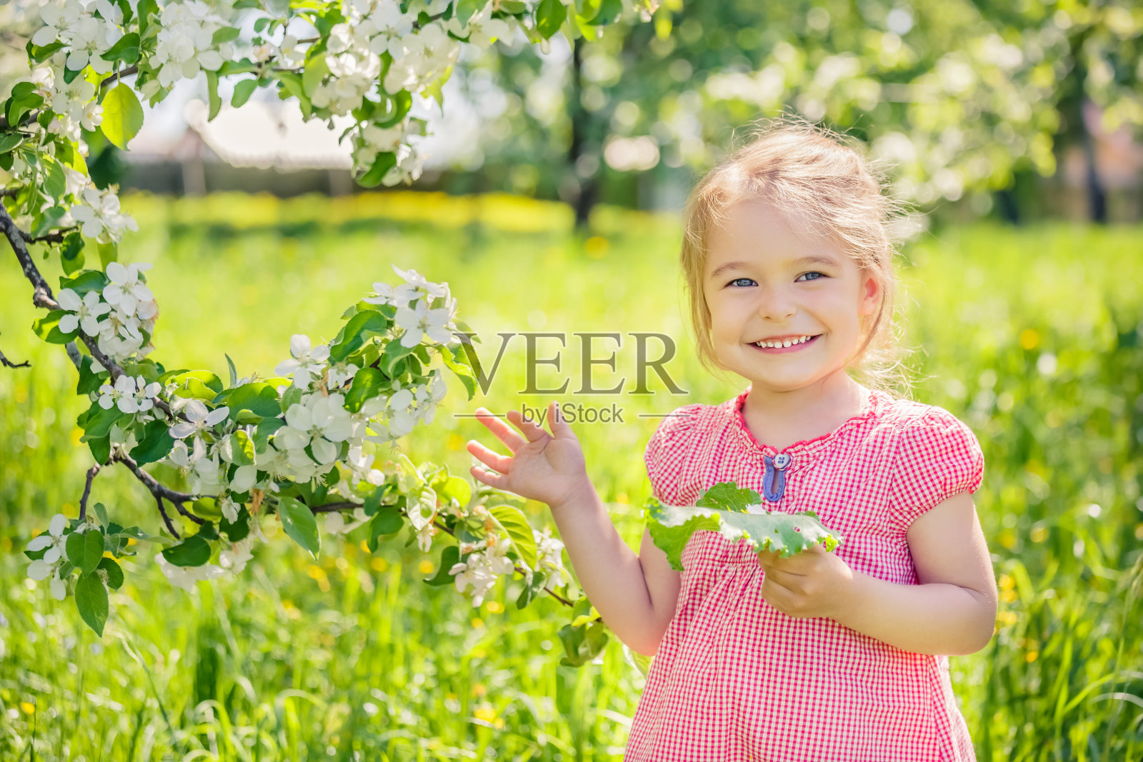 快乐的小女孩在苹果树花园里照片摄影图片
