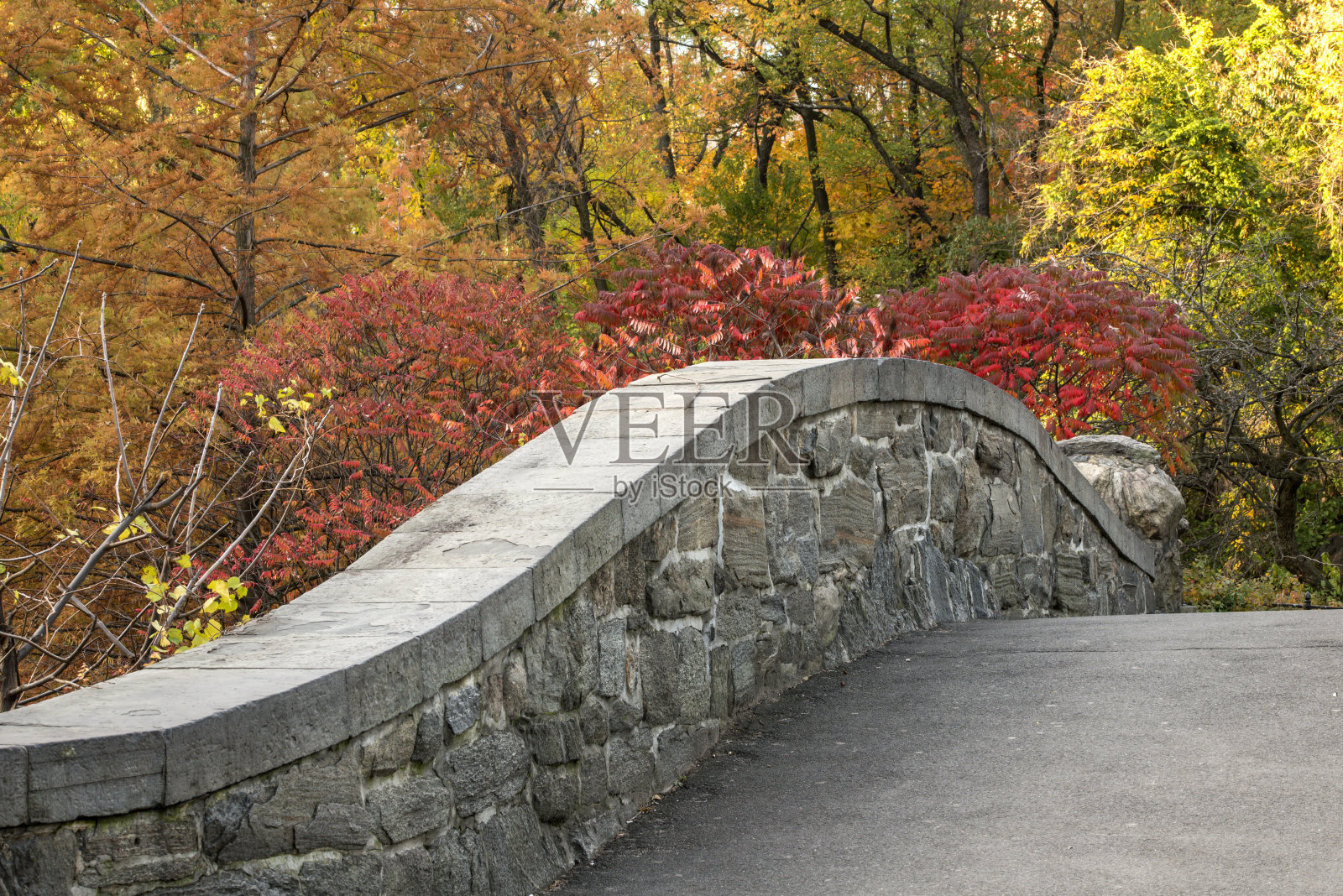 纽约中央公园,盖普斯托桥照片摄影图片