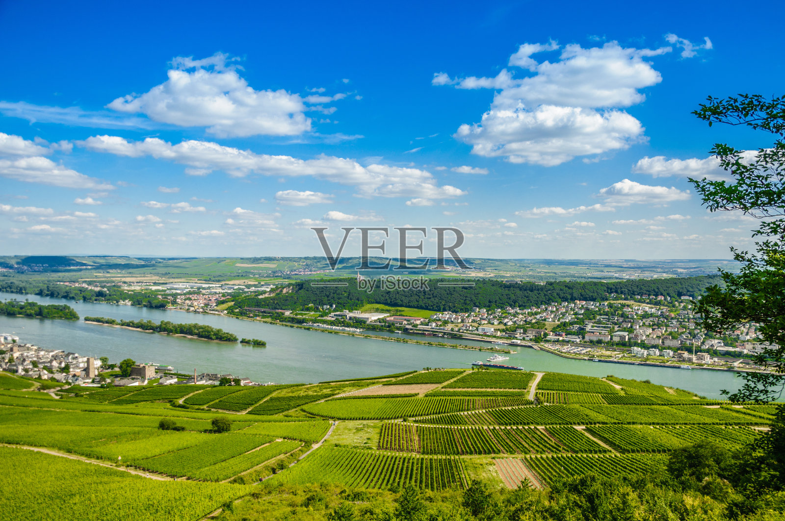 莱茵河和绿色葡萄园附近的宾根照片摄影图片