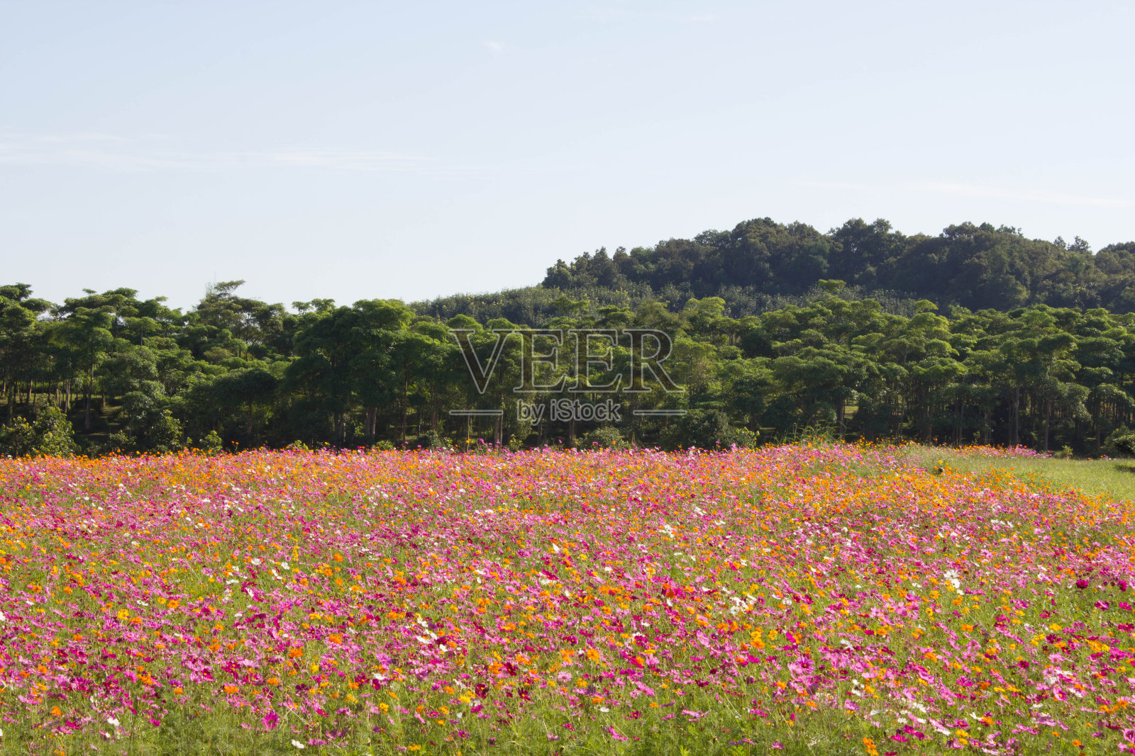 宇宙领域照片摄影图片