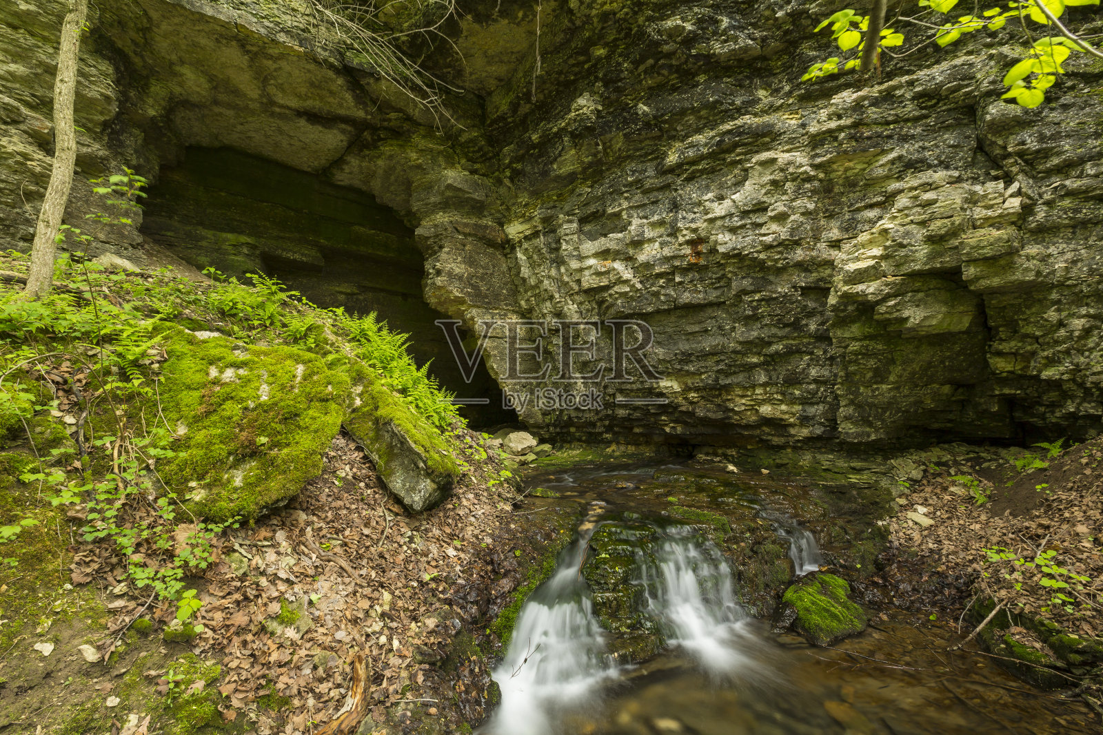 洞穴在春天照片摄影图片