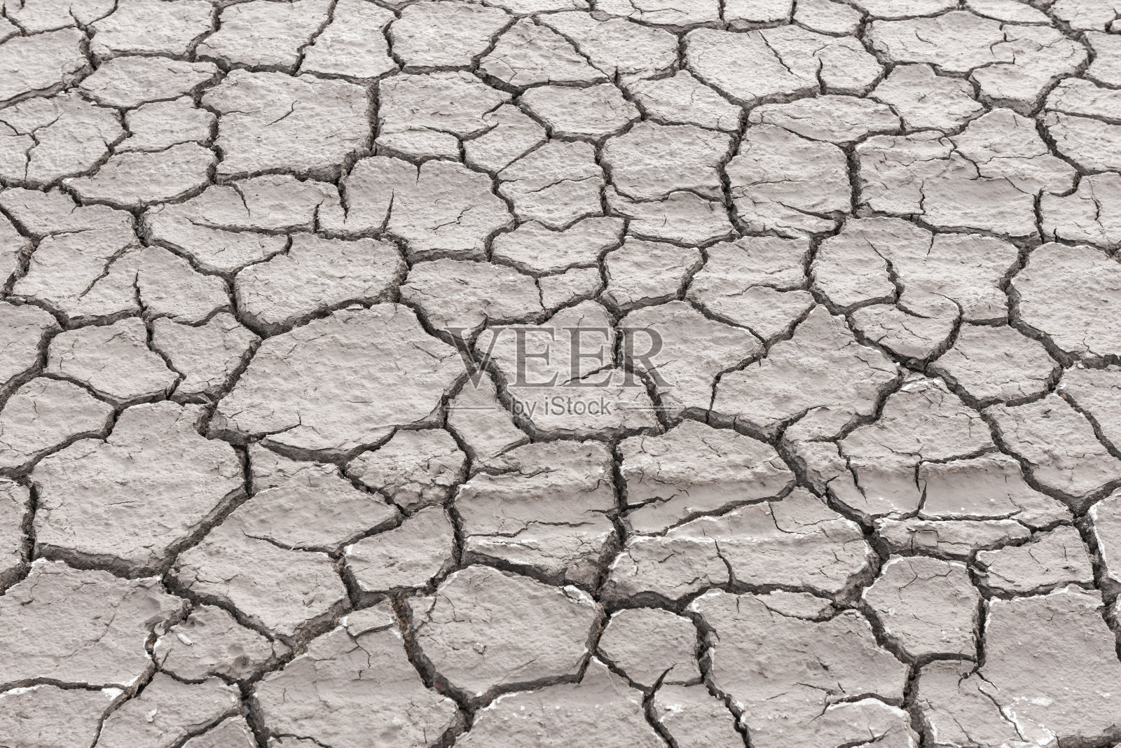 了土壤照片摄影图片