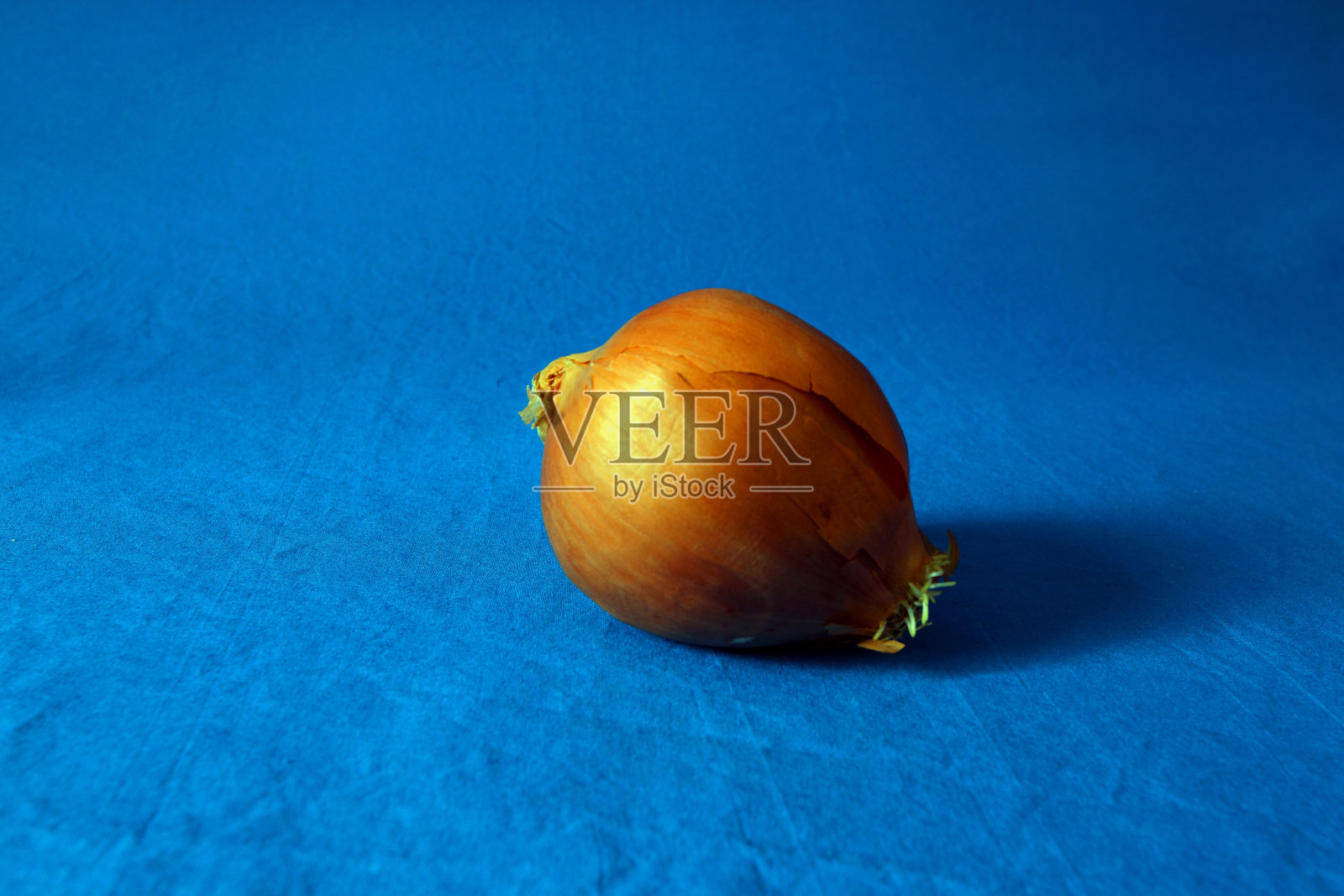 洋葱照片摄影图片