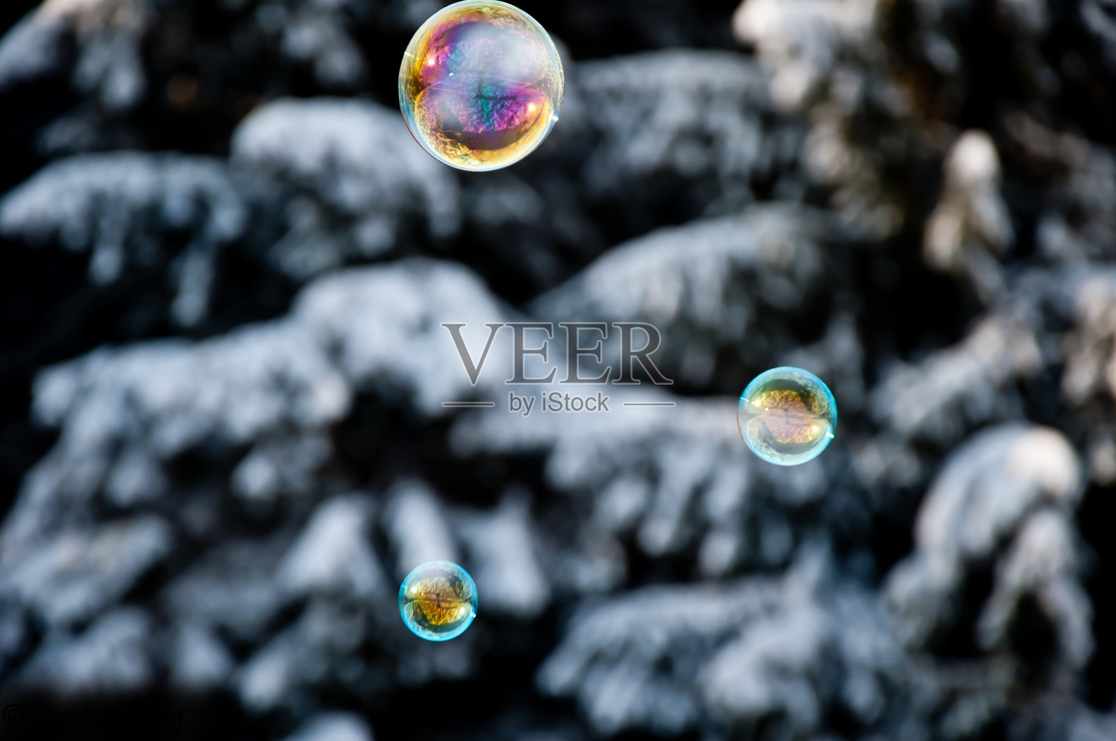 泡沫在冬季照片摄影图片