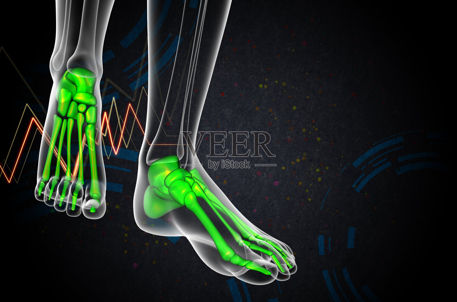 3d渲染医疗插图的脚骨照片摄影图片