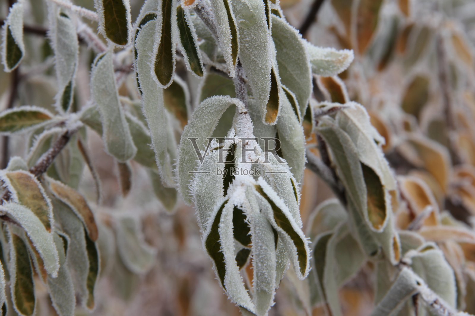 还挂在照片摄影图片