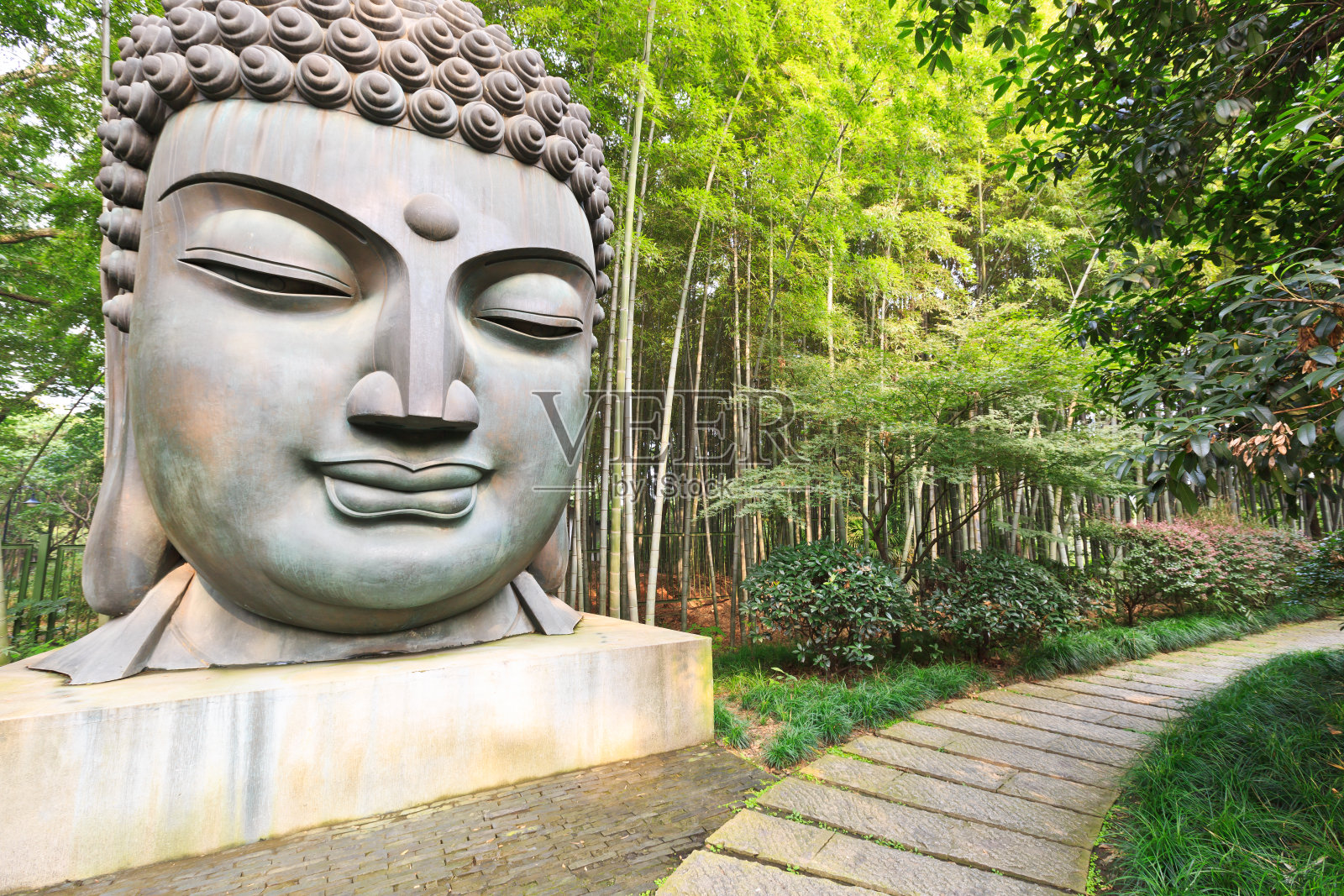 佛在竹林照片摄影图片