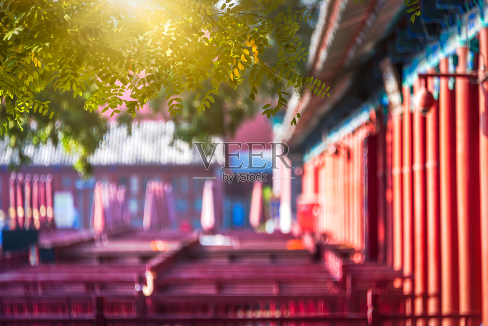 紫禁城照片摄影图片