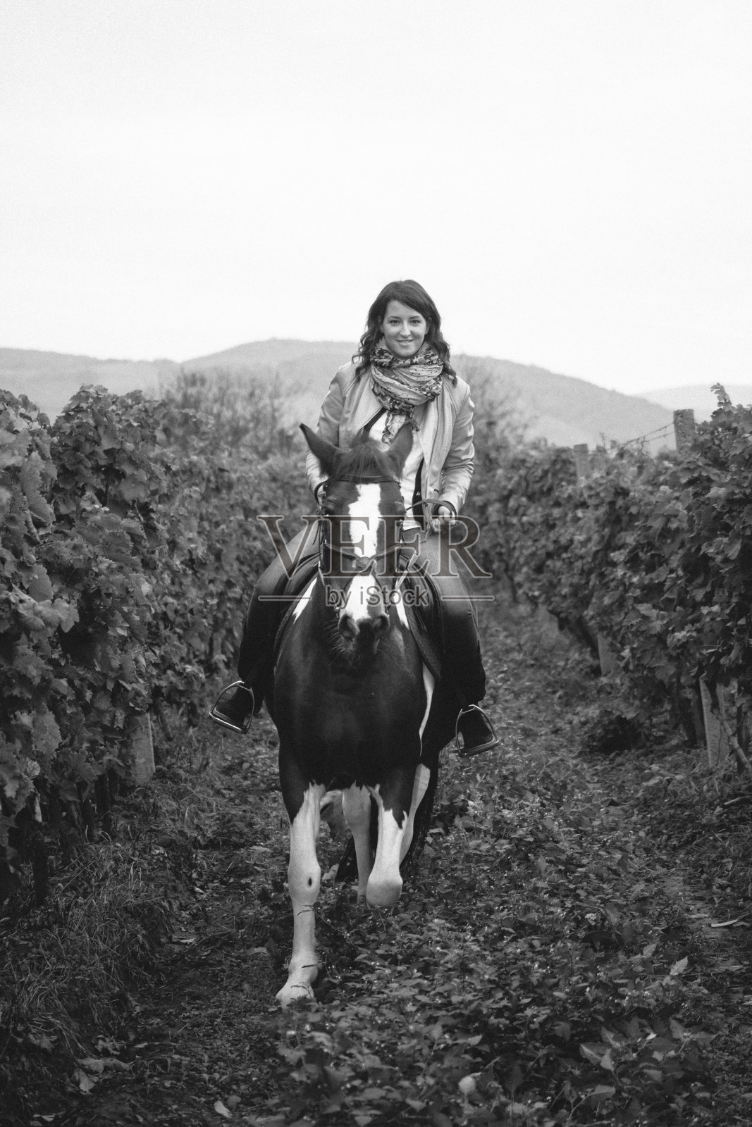 正面,女孩骑着短跑马。照片摄影图片