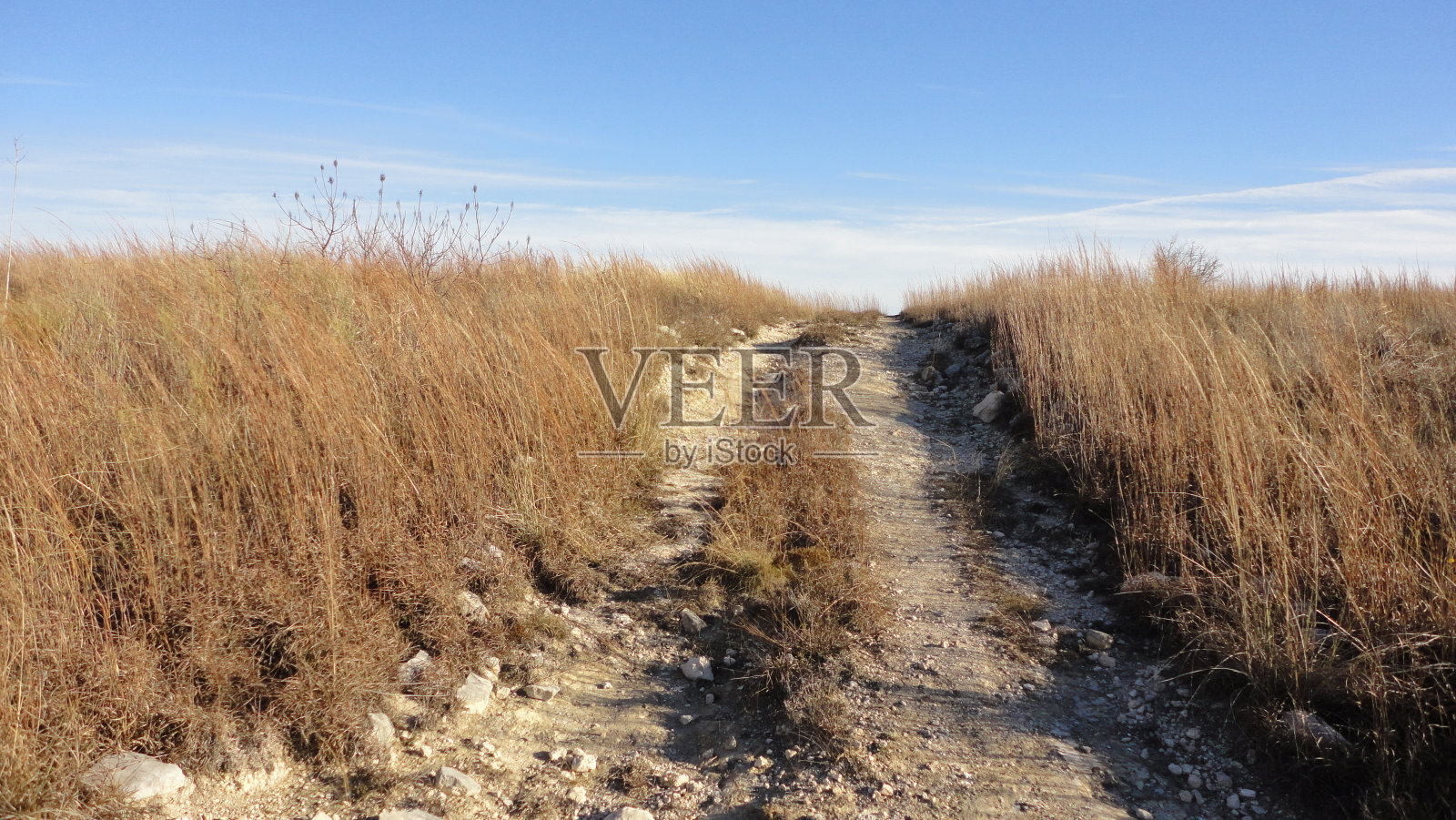 草坡上的轮胎印照片摄影图片