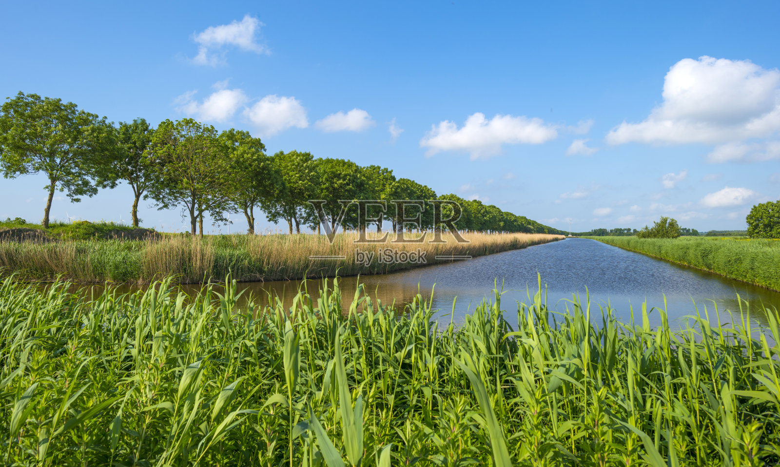 在春天运河穿过乡间的风景照片摄影图片