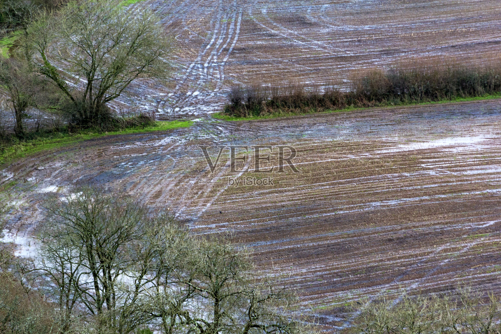 泥泞的大门,轮胎痕迹,托里奇河边积水的田地。照片摄影图片