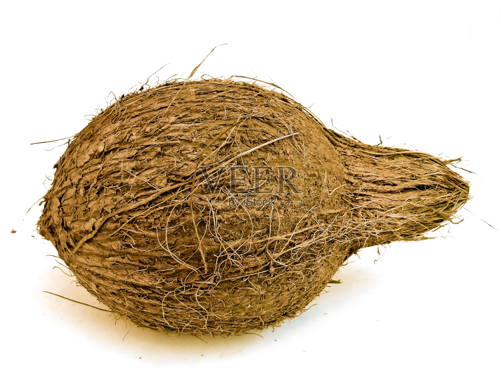 椰子,椰子照片摄影图片