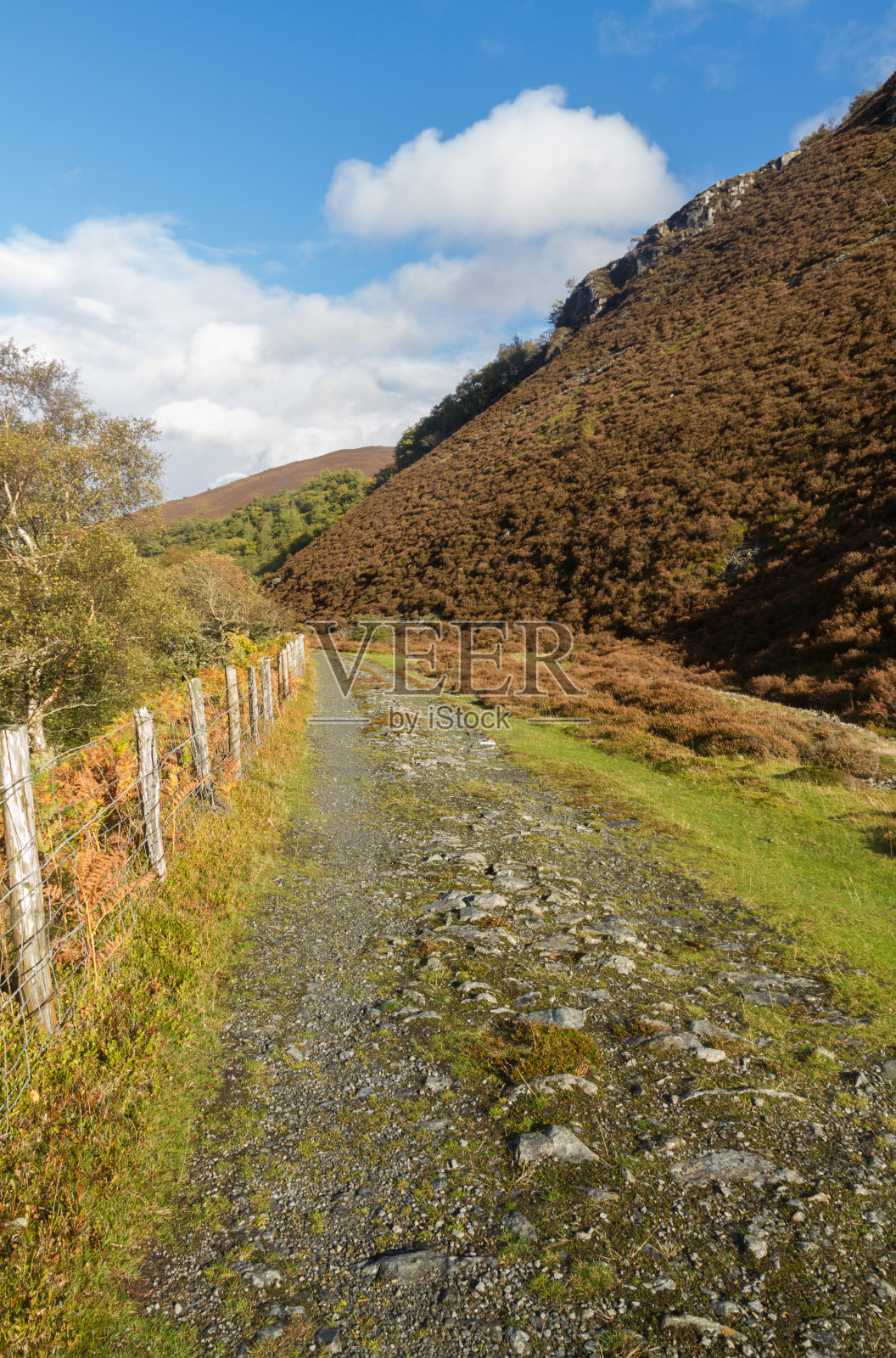 Elan山谷铁路的轨道,现在是一条小路。照片摄影图片