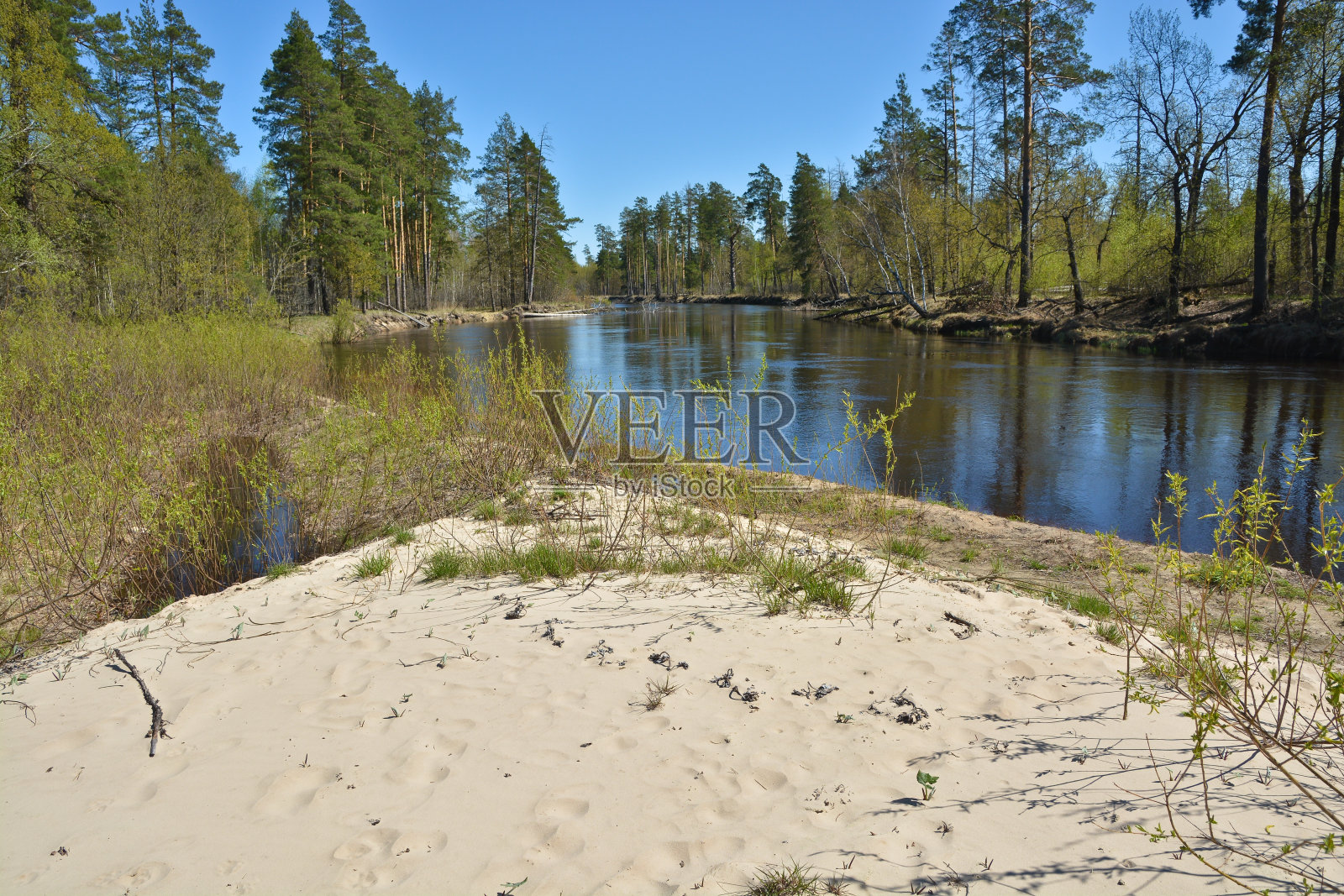 河春天的风景。照片摄影图片