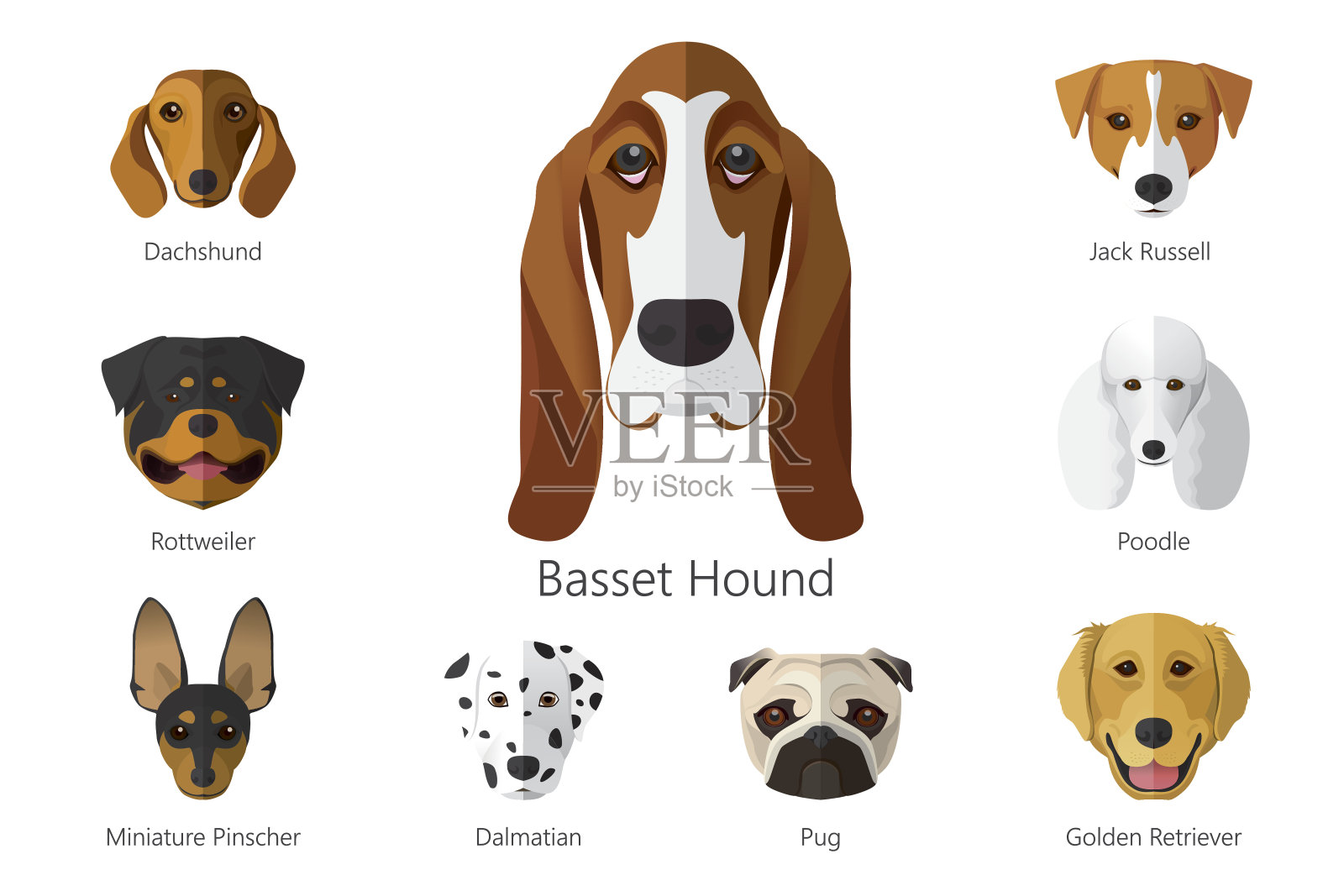 狗的品种设计元素图片